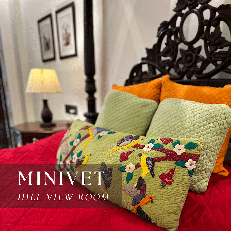 A bed with a patterned quilt and pillows - Minivet Hill View Room.